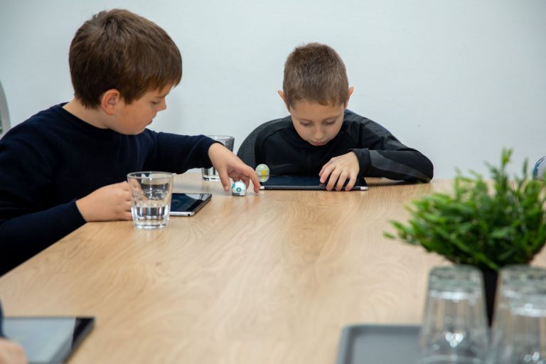 strihub radionica programiranja i robotike